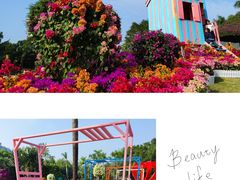 -东南花都花博园