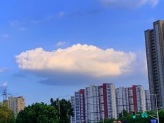 -道口童仔鸡(友谊街店)