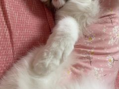 -上海沪太花鸟奇石市场·停车场