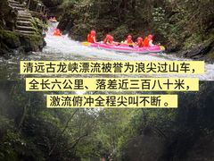 -上南瓦煲鸡·清远鸡·老字号(总店)