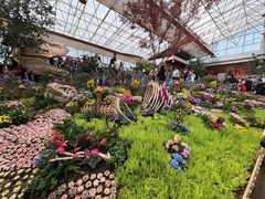 -沈阳植物园