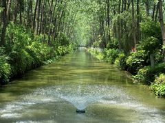 -合肥滨湖国家森林公园