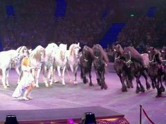 -珠海横琴长隆《卡卡虎奇遇记》