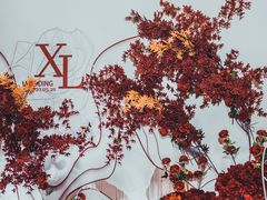 -白金汉爵大酒店(相城店)