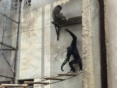 -昆明动物园