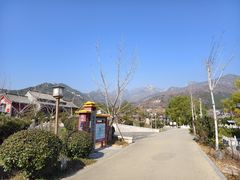 -泰山风景名胜区-虎山公园