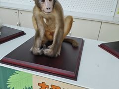 -天津自然博物馆
