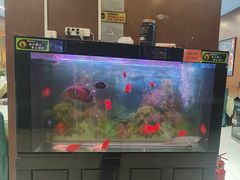 -东四民芳餐厅(世茂工三店)