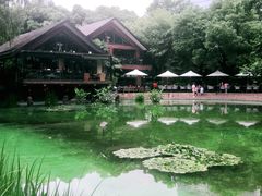 -静安公园(静安寺街道)