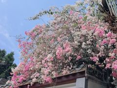 -深圳国际园林花卉博览园