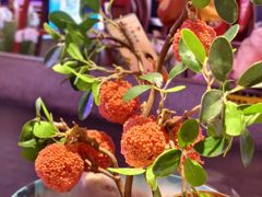 -长安大牌档之上元灯会(南大街店)