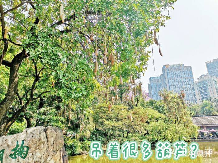 广州珠江公园图片