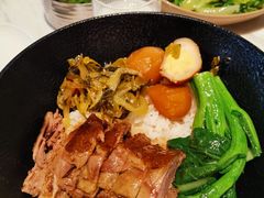 -MR鹅外