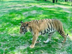 -北京野生动物园