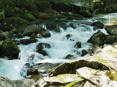 -大鄣山卧龙谷景区