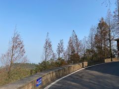 -莫干山风景区