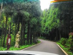 -武陵山森林公园