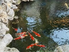 -鲤院·新中式美学·庭院餐厅(夫子庙店)