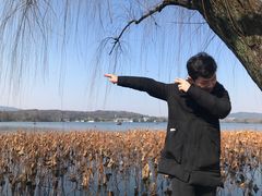 -西湖外事游船(花港观鱼码头)