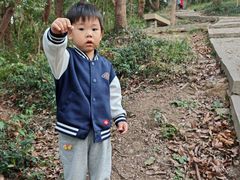 -上海佘山国家森林公园天马山园