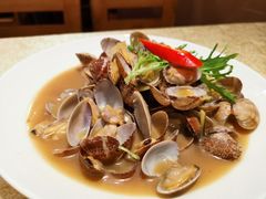 -贴阁碧(百丈东路店)