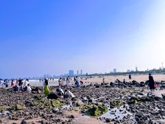 -巧克力渔家.小船海鲜胶东菜(万平口店)