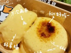-狐狸和向日葵(北京路店)