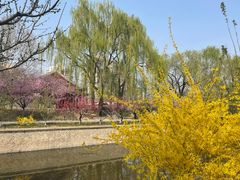 -元大都城垣遗址公园