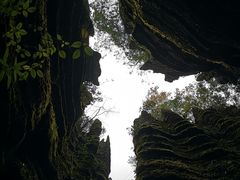 -梭布垭石林景区