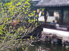-上海醉白池公园