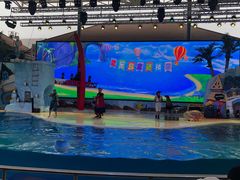 -三亚海昌梦幻海洋不夜城