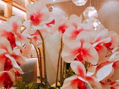 -麓湘小镇(开福万达广场店)