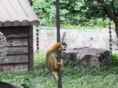 -上海野生动物园