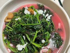 -顺峰(农展馆店)