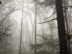 -赤山风景区