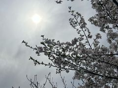 -大宁公园