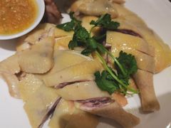 -新锦鸿(演达店)