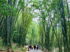 -四洞沟景区
