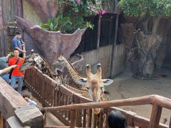 -长鹿旅游休博园