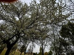 -盘龙城遗址博物院