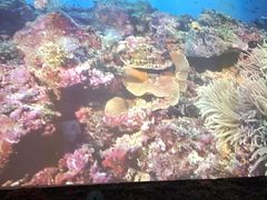 -沈阳海洋探索中心