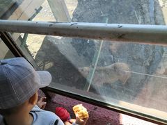 -新疆天山野生动物园