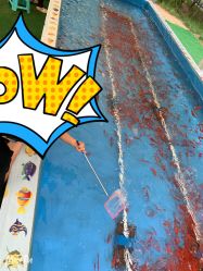 -萌宠亲子动物乐园(槐房万达店)