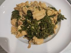 -朝郡酒家·粤菜(燕大星苑店)