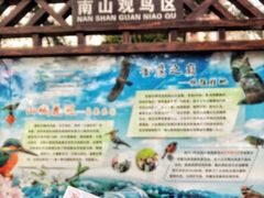 -大金鹰园