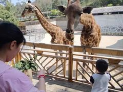 -泉州海丝野生动物世界