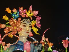 -荷兰花海