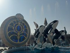 -上海海昌海洋公园