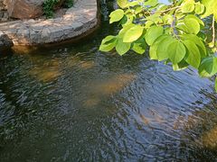 -封龙山风景区