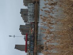 -五里湖湿地公园